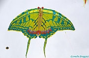 RIMINI 2012 - 086